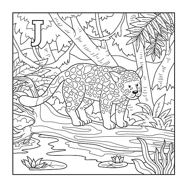 Jungle coloring pages stock illustrations royalty