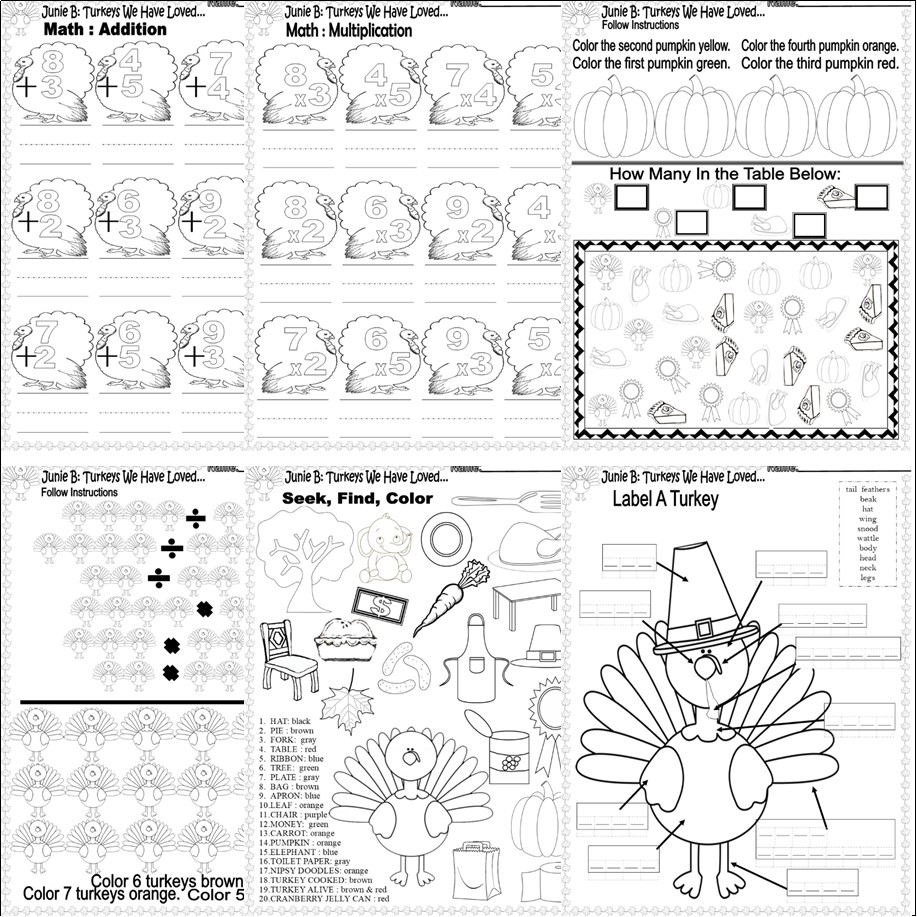 Junie b jones turkeys we have loved eaten thanksgiving read aloud book study panion worksheets made by teachers