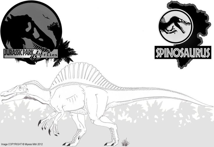 Spinosaurus coloring page spinosaurus drawing and dinosaur coloring pages for kids best of