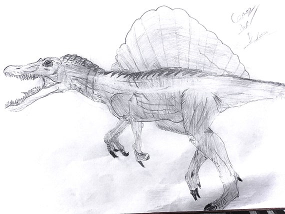 Jurassic park spinosauraus drawing