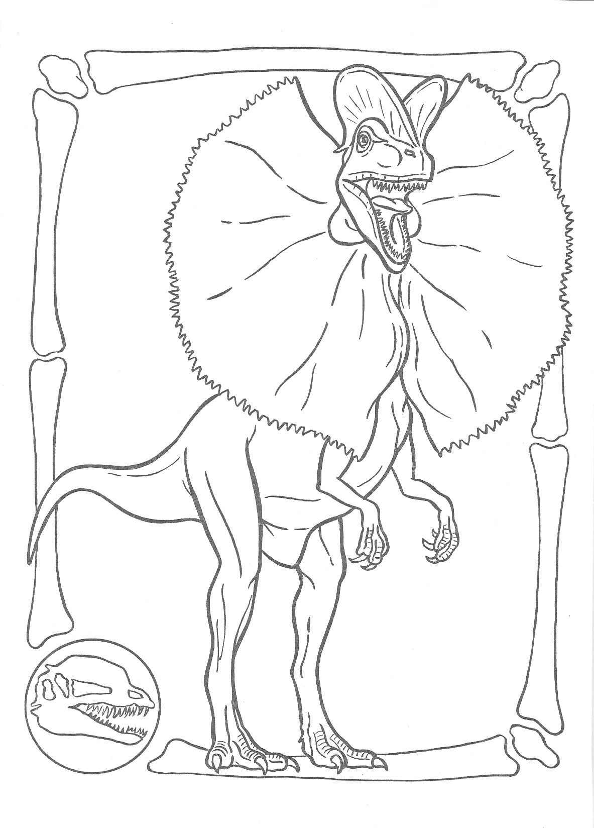 Jurassic park official coloring page