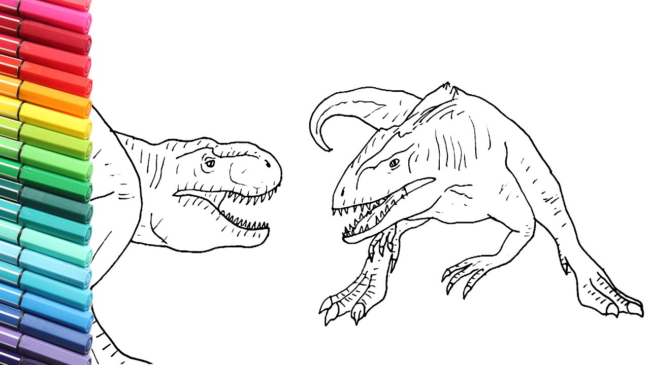 Drawing and coloring t