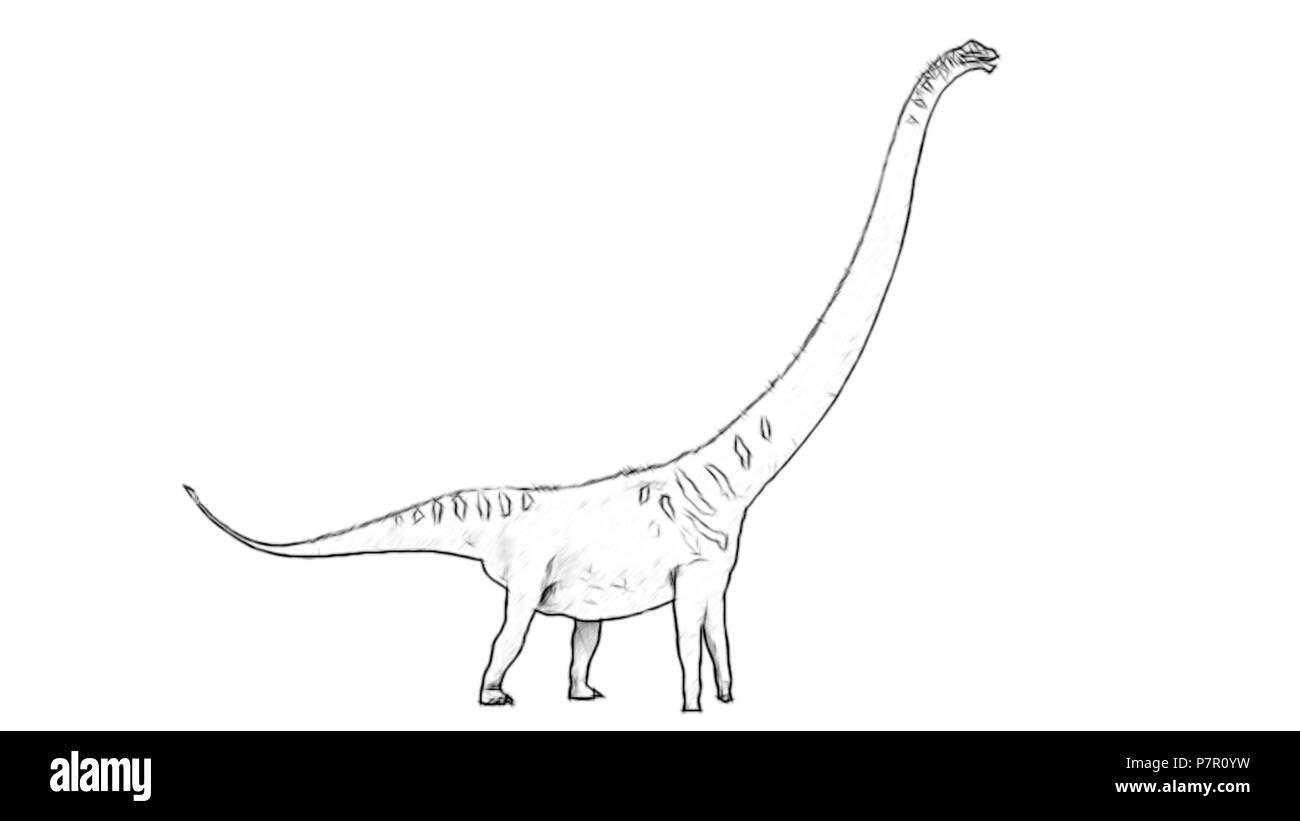 Mamenchisaurus cut out stock images pictures
