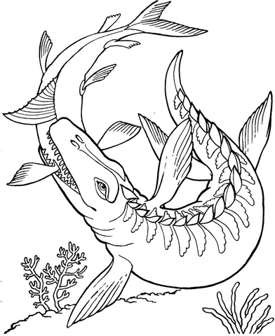 Mosasaurus dinosaur coloring page free printable coloring pages