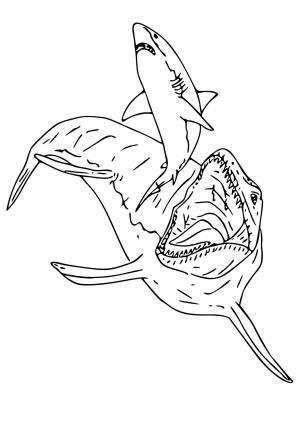 Free printable mosasaurus coloring pages for adults and kids