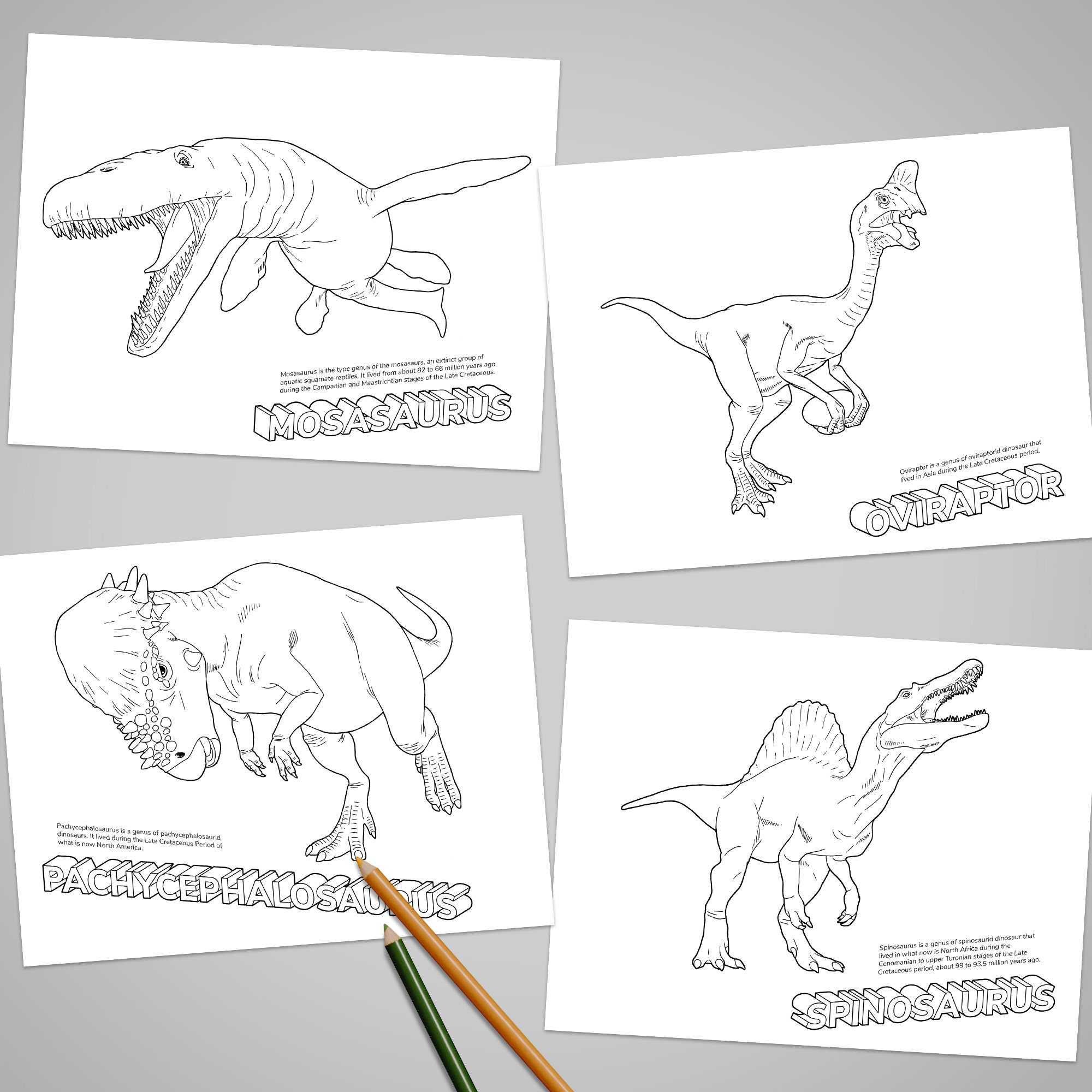 Dinosaurs coloring book printable art for kid and teens instant download