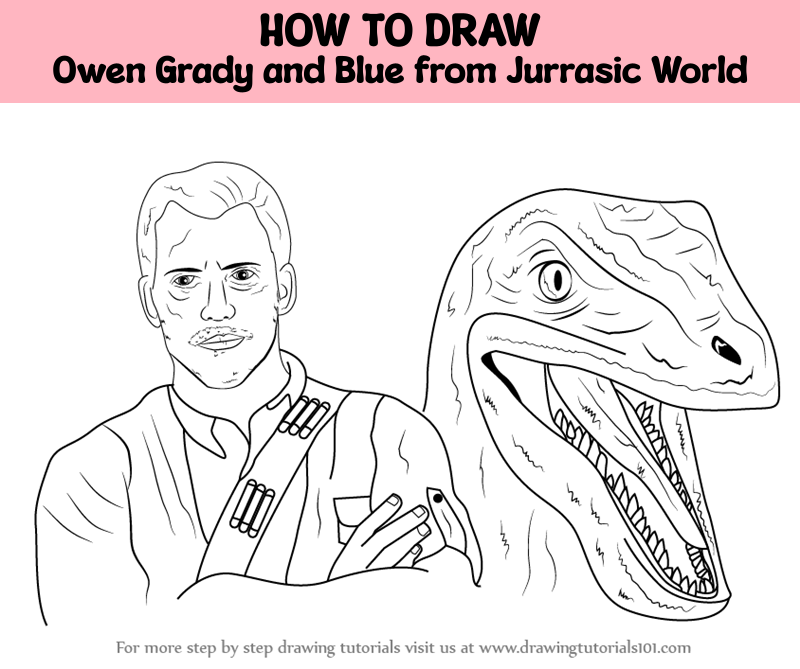 How to draw owen grady and blue from jurrasic world celebrities step by step