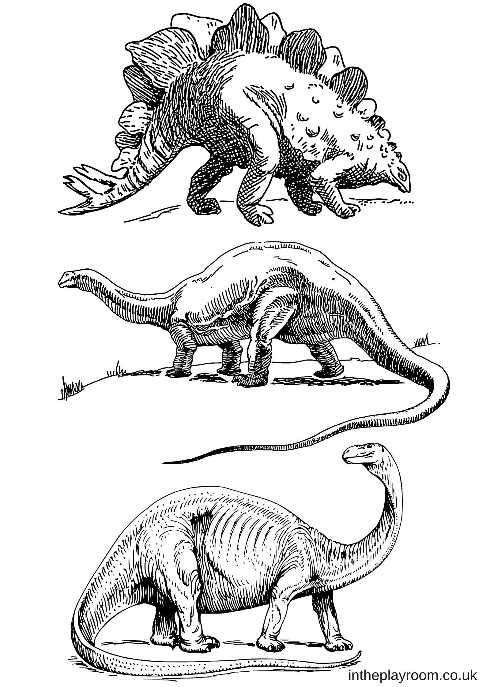 Dinosaur louring pages for kids