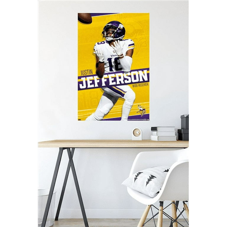 Nfl minnesota vikings