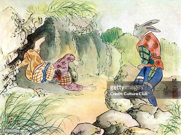 Japanese badger stock photos high
