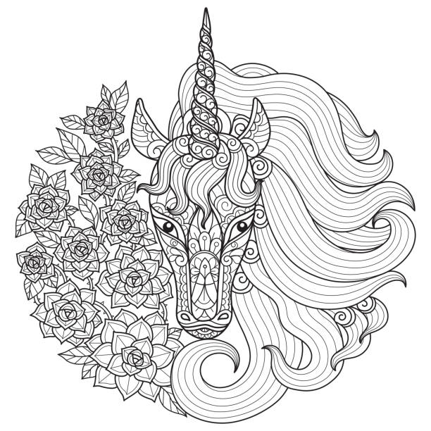 Kalanchoe stock illustrations royalty