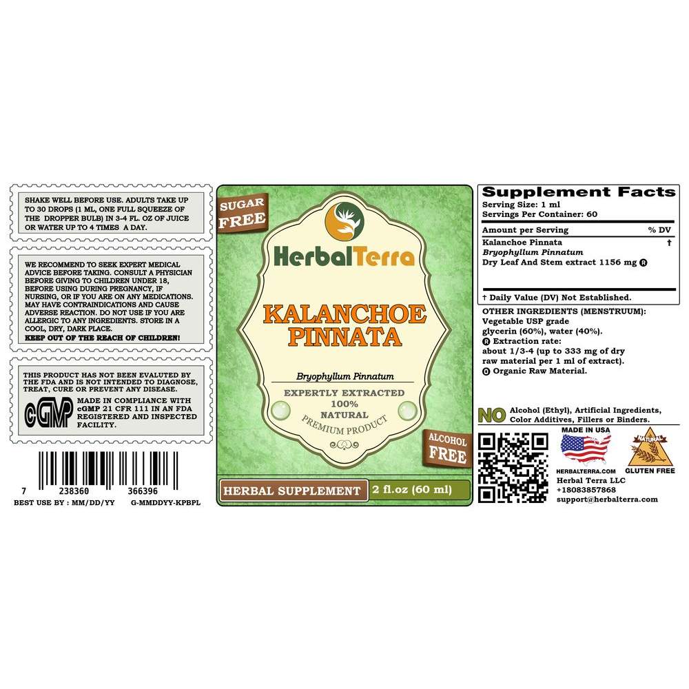 Kalanchoe pinnata bryophyllum pinnatum tincture dried leaves and stems liquid extract