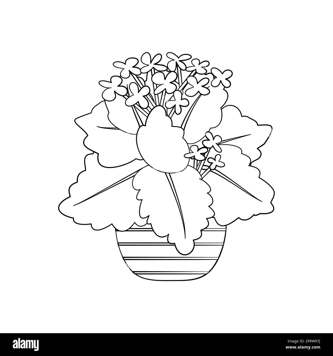 Kalanchãe cut out stock images pictures