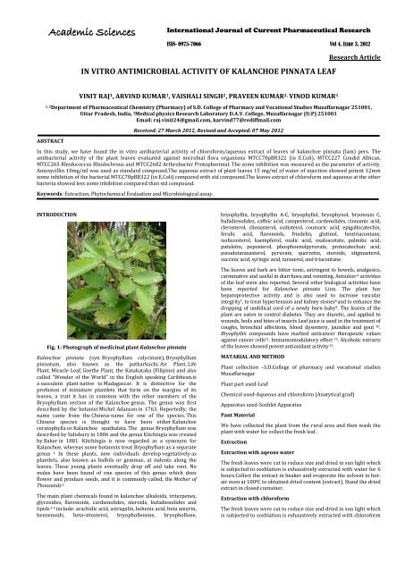 In vitro antimicrobial activity of kalanchoe pinnata leaf