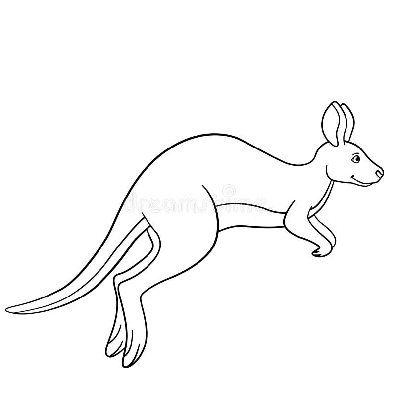 Kangaroo smiles stock illustrations â kangaroo smiles stock illustrations vectors clipart