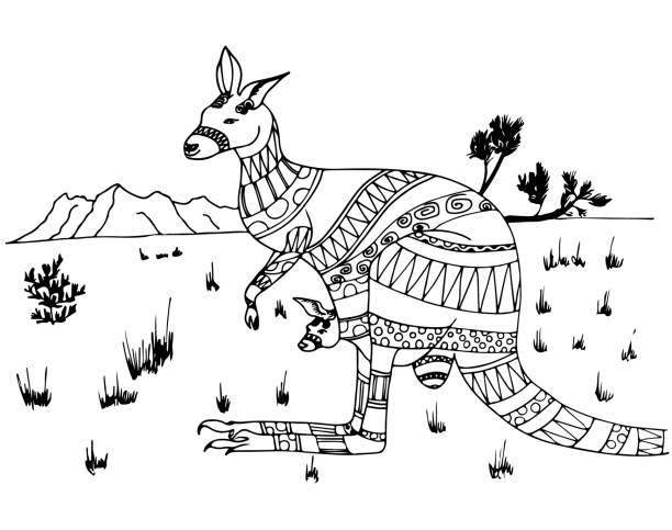 Kangaroo tail stock illustrations royalty