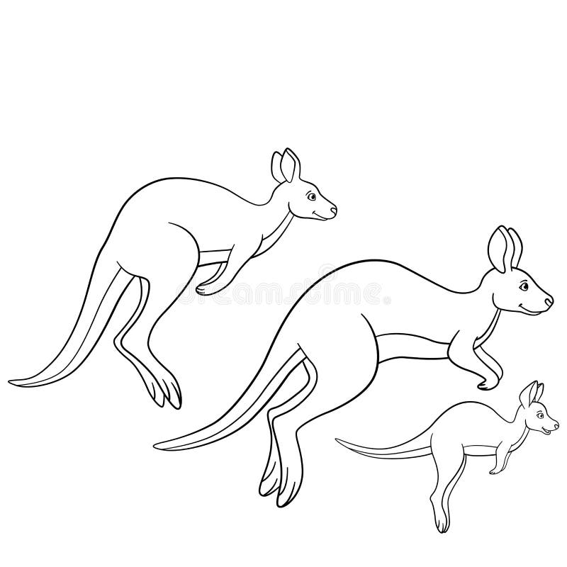 Kangaroo smiles stock illustrations â kangaroo smiles stock illustrations vectors clipart