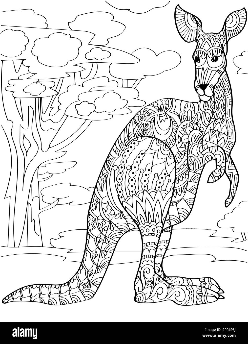 Kangaroo outline black and white stock photos images