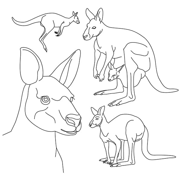 Kangaroo sketch svg dxf cutting machine laser cutting designs craft genesis