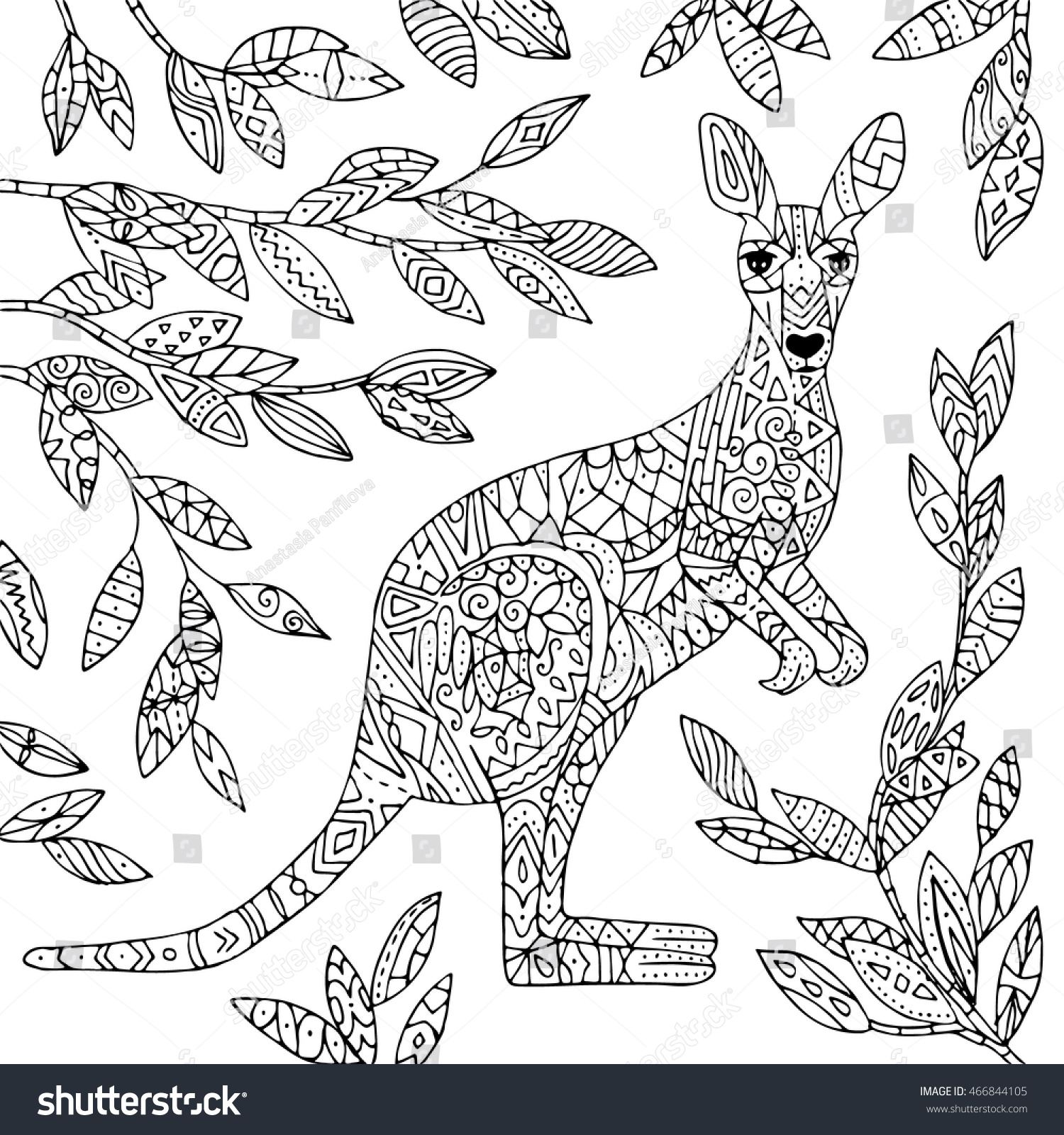 Vector kangaroo illustration adult coloring page stock vector royalty free