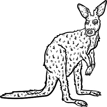 Kangaroo drawing png transparent images free download vector files