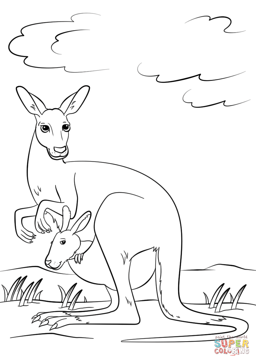 Cute kangaroo with baby in pouch coloring page free printable coloring pages