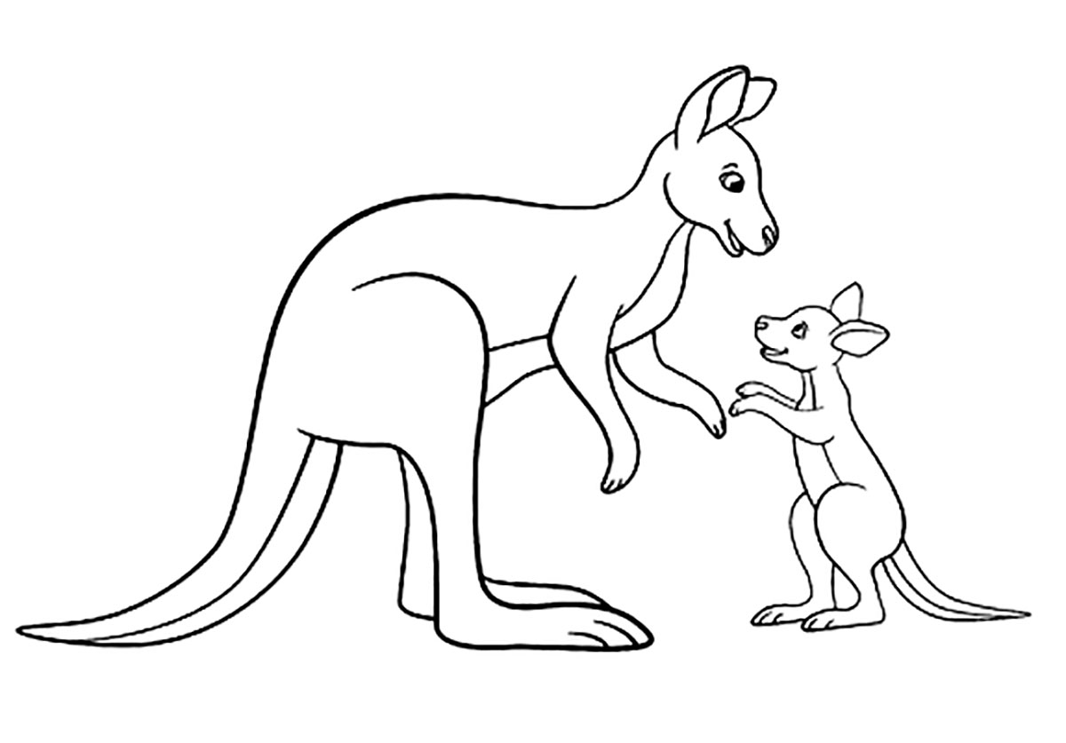 Coloring pages coloring pages for children kangaroos