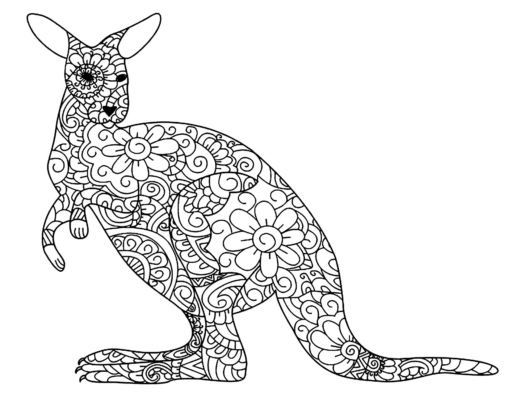 Flowery kangaroo