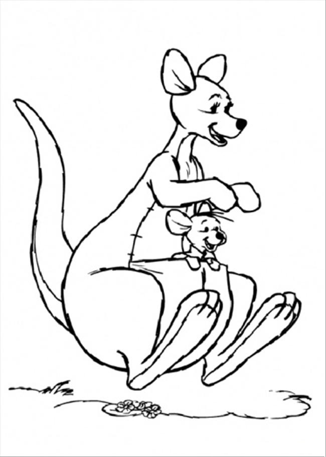 Free printable kangaroo coloring pages for kids
