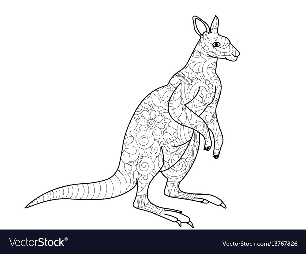 Kangaroo coloring book for adults royalty free vector image