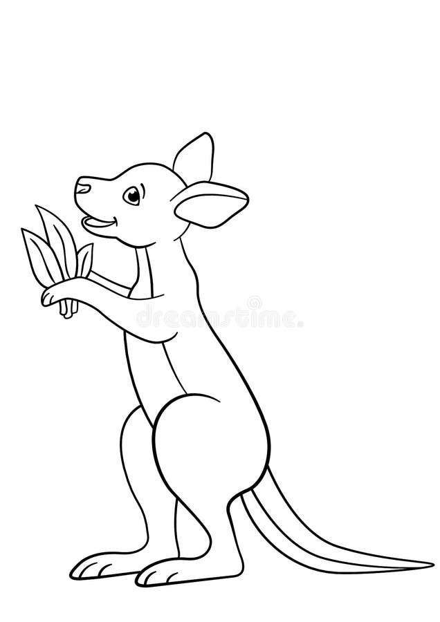 Coloring pages little cute baby kangaroo smiles stock vector