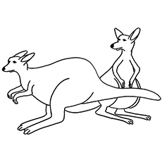 Top free printable kangaroo coloring pages online