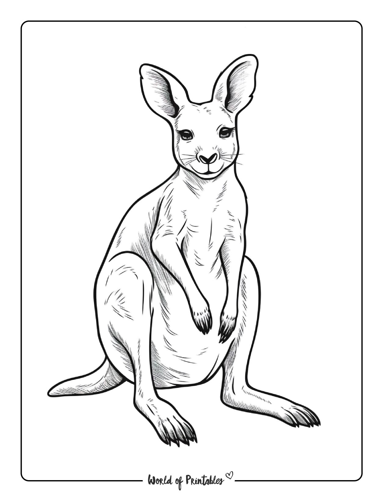 Kangaroo coloring pages