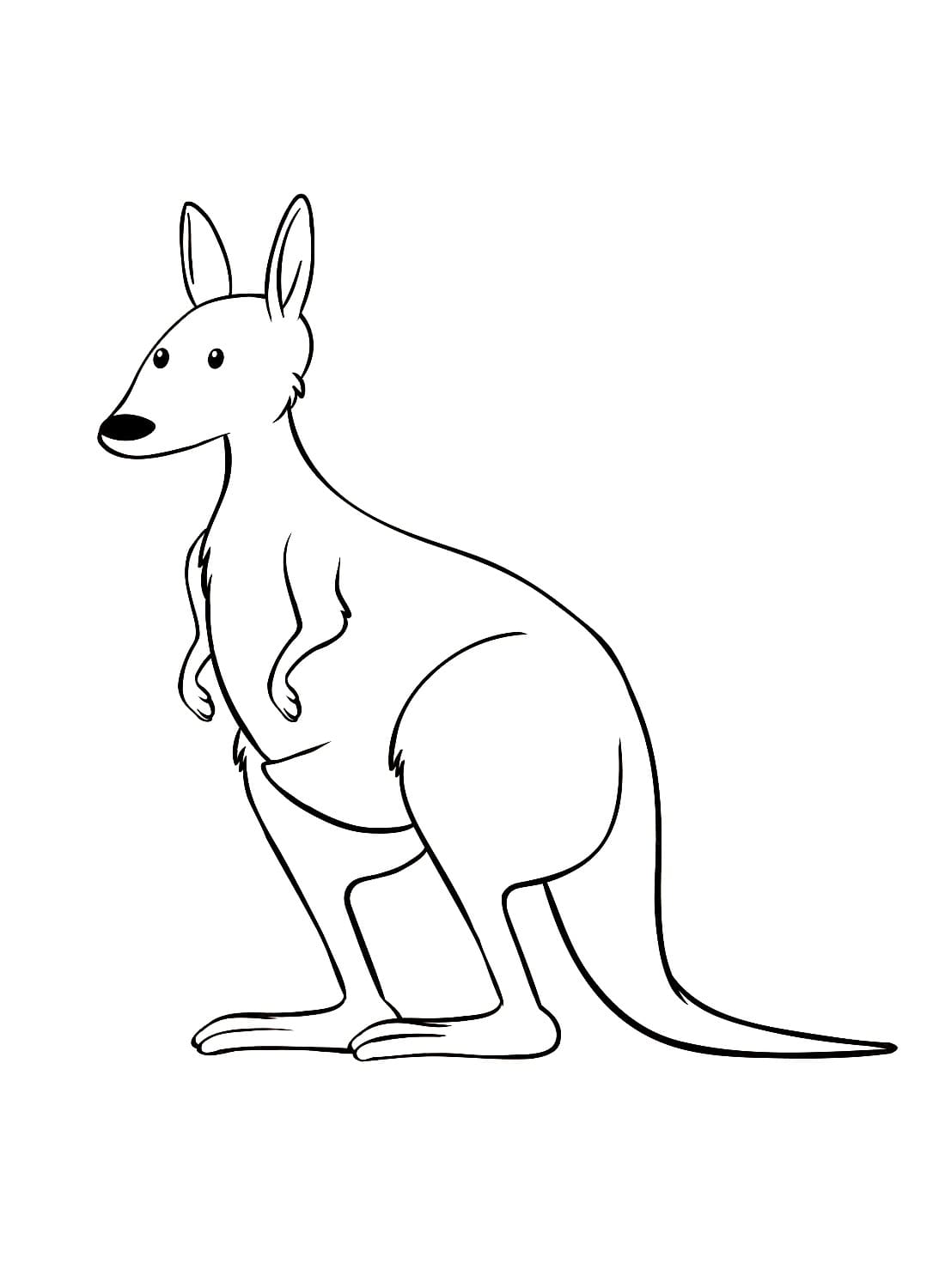 A kangaroo coloring page