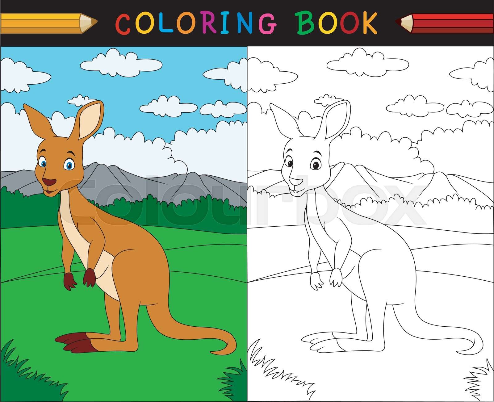Cartoon kangaroo coloring book stock vector