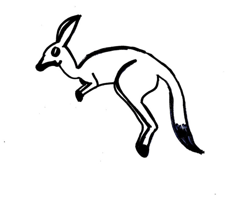 Kangaroo coloring page