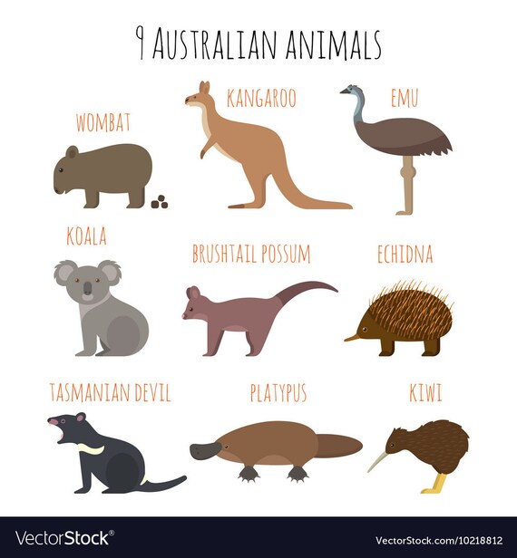 Amazing coloring book digital australian animals