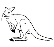 Kangaroos coloring pages free coloring pages
