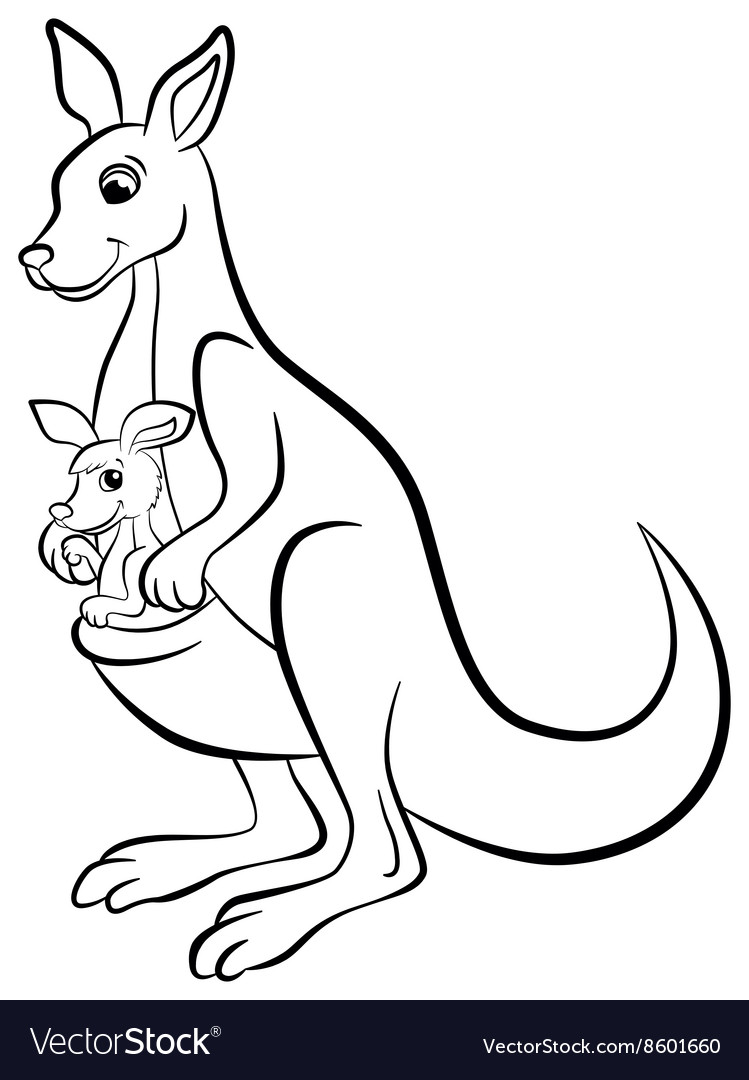 Kangaroo with the baby royalty free vector image