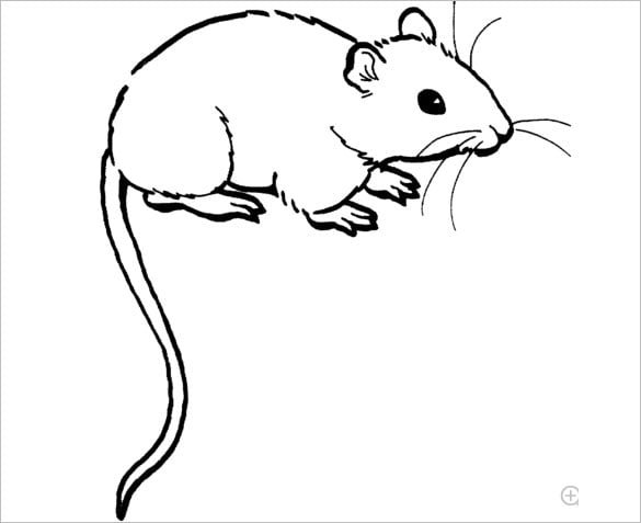Mouse s crafts colouring pages