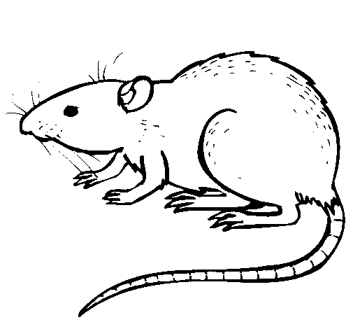Colored page underground rat painted by under ground logo
