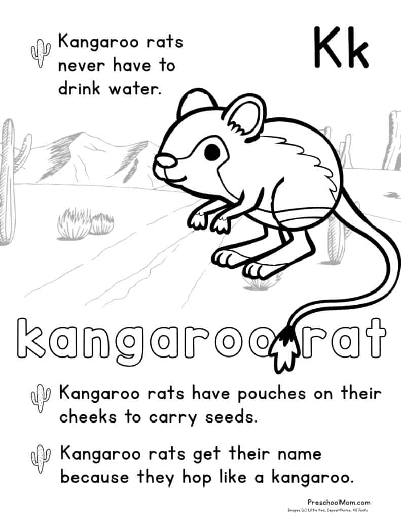Desert animal coloring pages