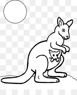 Kangaroo rat png