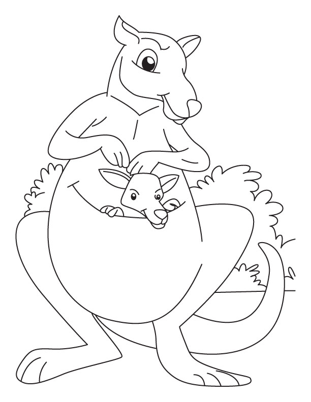 Kangaroo and joey coloring pages download free kangaroo and joey coloring pages for kids best coloring pages