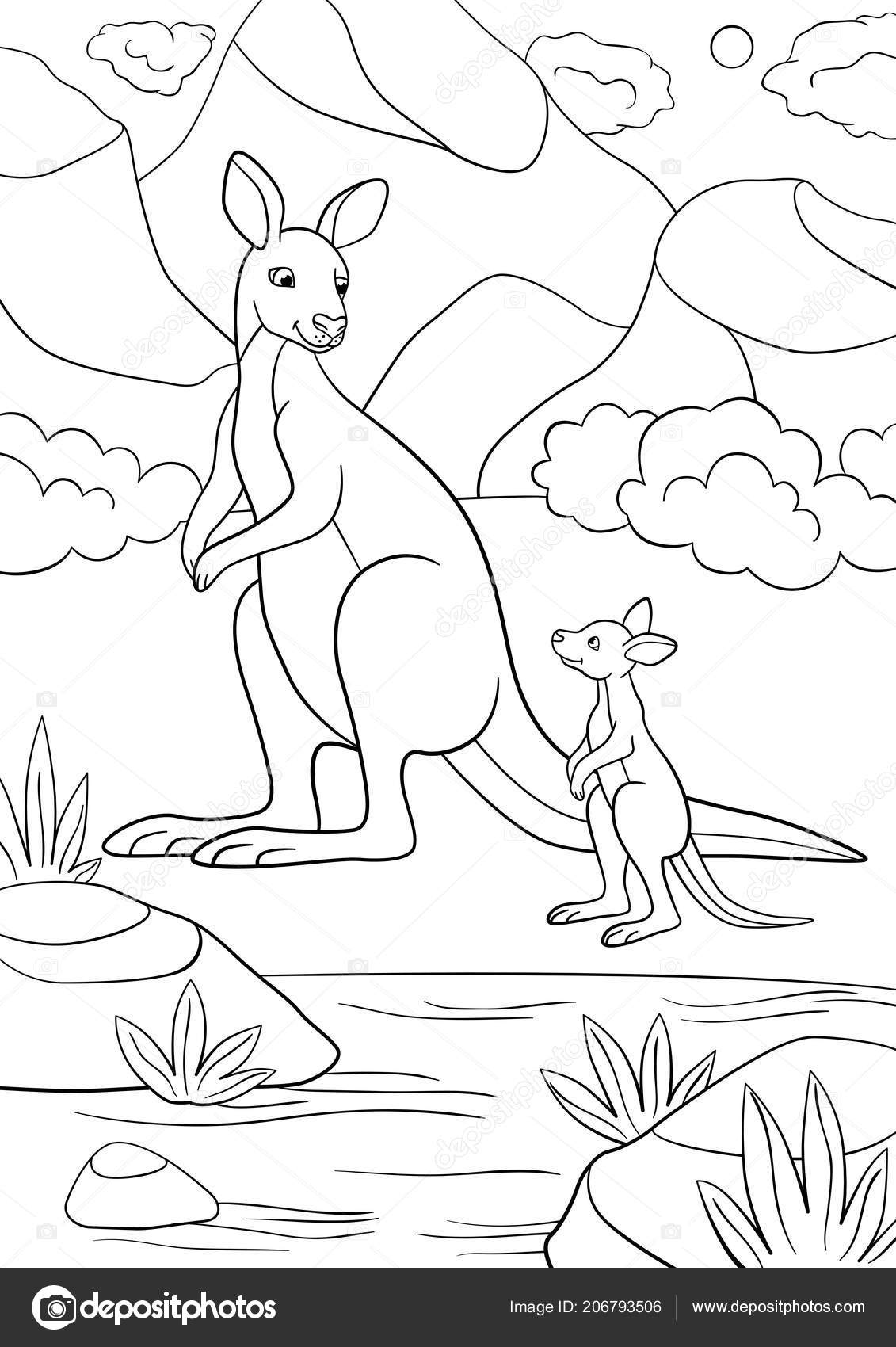 Coloring pages mother kangaroo her little cute baby stock vector by ya