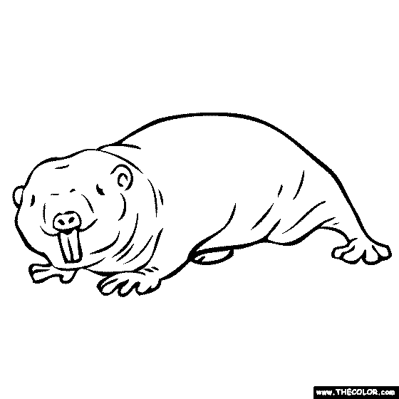 General anials online coloring pages