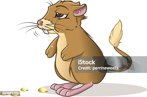 Kangaroo rat stock illustrations royalty