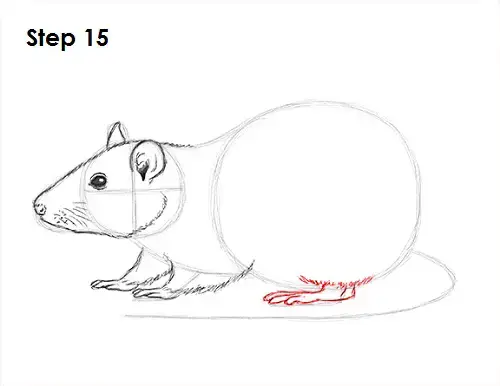 How to draw a rat video step