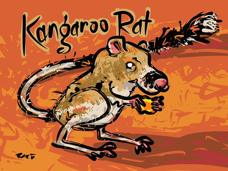 Kangaroo rat drawing by brett lague