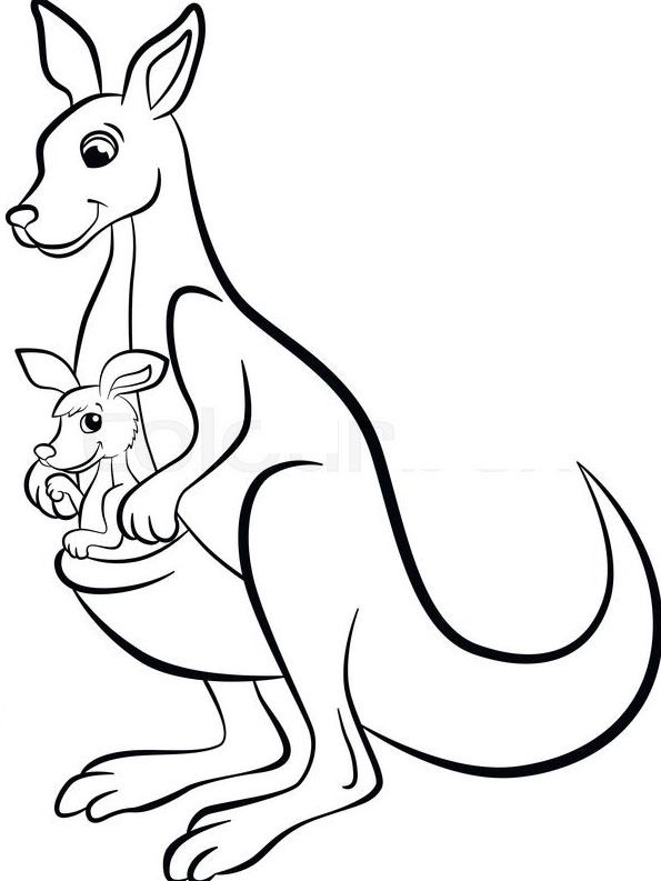 Printable kangaroo with baby kangaroo coloring pages animal coloring pages zoo animal coloring pages kangaroo art